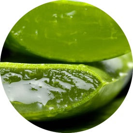 The Benefits of Aloe Vera for Men's Skin